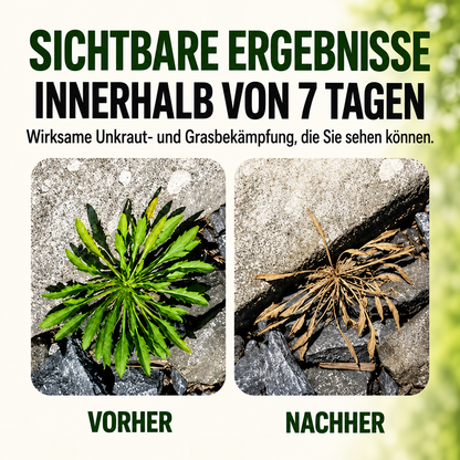 2026 SALE🛒 – Schnell wirkendes natürliches Unkraut- & Grasvernichtungsspray